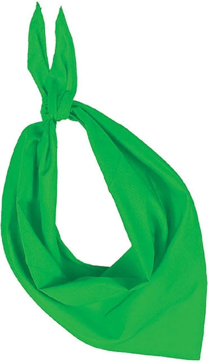 Lot de 10 bandanas fiesta - vert 