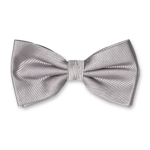 Noeuds papillon / Nœud papillon homme gris 