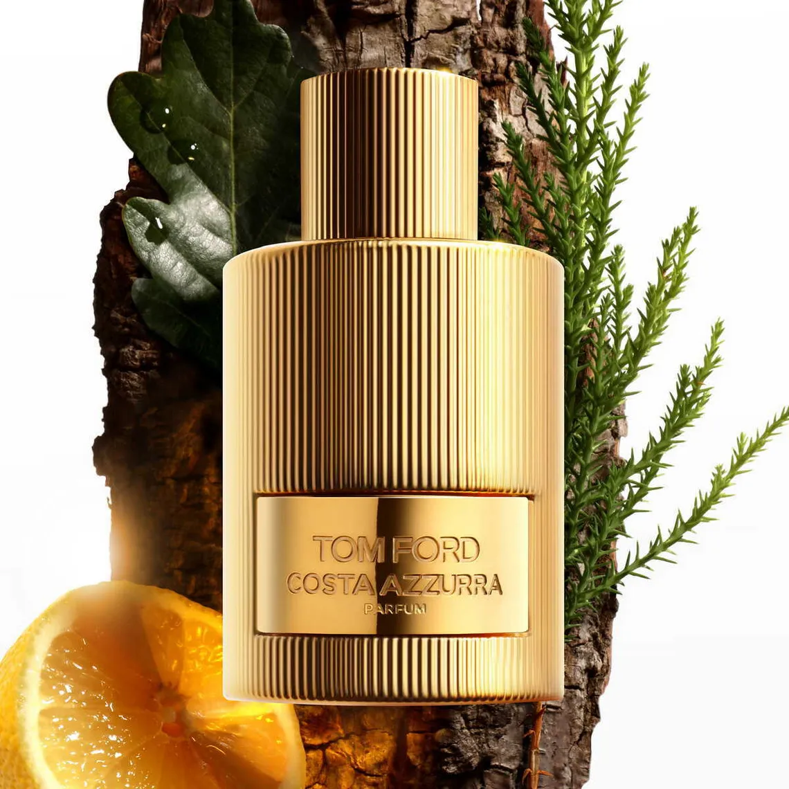 Parfum - Costa Azzurra Tom Ford - Parfums Homme Homme sur MenCorner